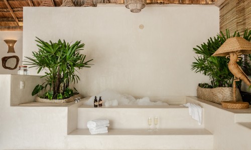 Jungle Suite Upper